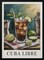 Cuba Libre - Andreas Magnusson 24x36 Black Framed Art | Home or Office Art